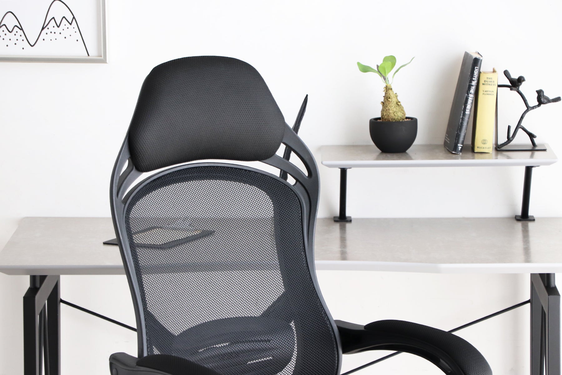 Office Chair FT