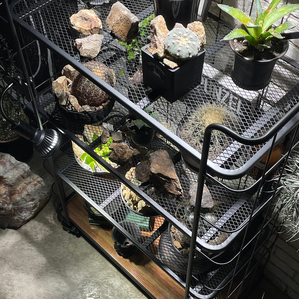 ラック・シェルフShelf Rack LD 80GART ガルトkaguaroo 11