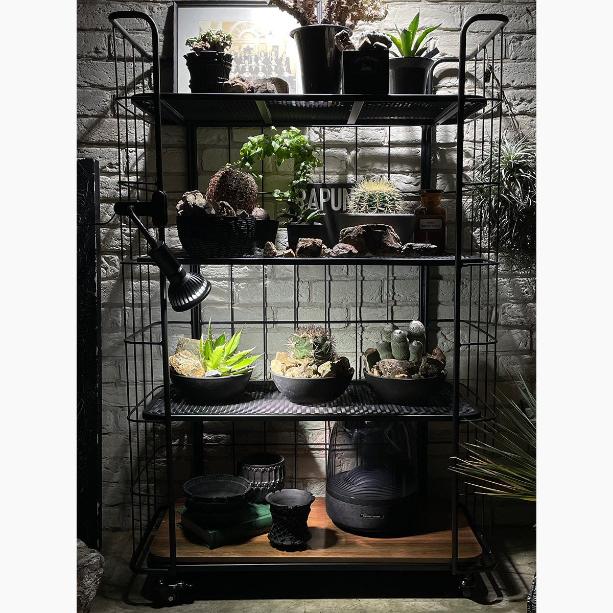 ラック・シェルフShelf Rack LD 80GART ガルトkaguaroo 12