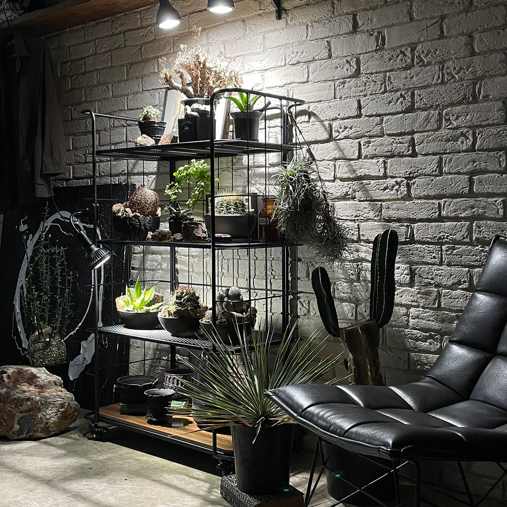 ラック・シェルフShelf Rack LD 80GART ガルトkaguaroo 14
