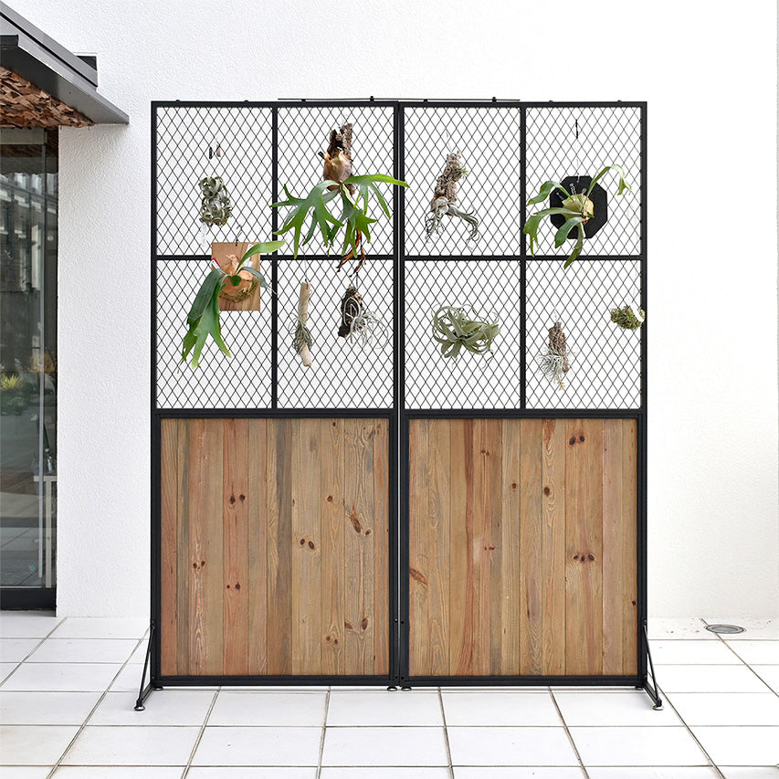 Screen BOTANICAL 90 5
