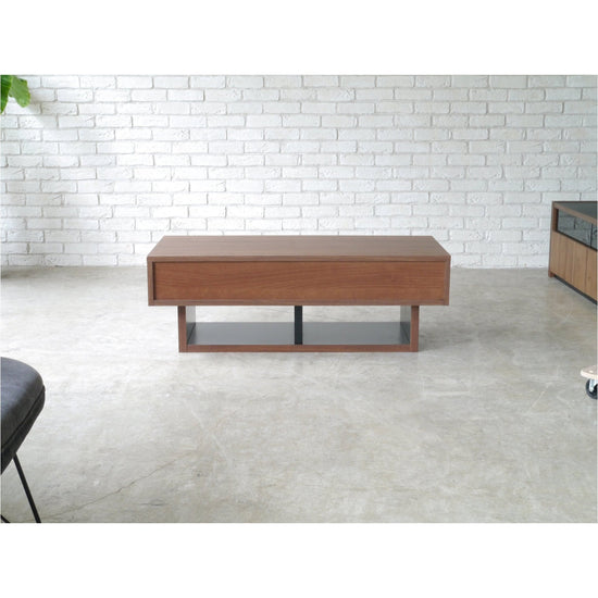 CT table BRIST 110 - センターテーブル - 4937294127846 - 10